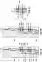 Fig. 08 - Undersea hydraulic coupling with multiple pressure-energized metal seals
