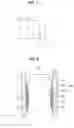 Fig. 07 - Intake device of internal combustion engine