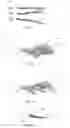 Fig. 07 - Wind turbine blade comprising a trailing edge noise reducing device