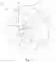 Fig. 02 - Chopper pump with double-edged cutting bars