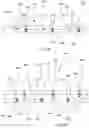 Fig. 22 - SMOKETAPE
