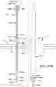 Fig. 32 - Indexer, indexer retrofit kit and method of use thereof