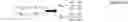 Fig. 04 - Base resistance cancellation method and related methods, systems, and devices