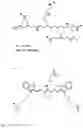 Fig. 02 - MEANS AND METHODS FOR VISUALIZATION OF TISSUE STRUCTURES