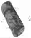 Fig. 02 - Detecting saturation levels of a core sample using magnetic fields
