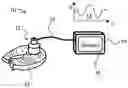 Fig. 01 - Spectroscopic characterization of seafood