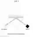 Fig. 06 - APPARATUS AND METHOD USING SURFACE PLASMON RESONANCE