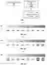 Fig. 02 - Measurements and calibration utilizing colorimetric sensors
