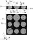 Fig. 06 - Sensor device for detecting a permanent gas