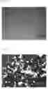 Fig. 02 - Method for evaluating cellulose nanofiber dispersion, cellulose nanofiber aqueous dispersion, and cellulose nanofiber-containing food, cosmetic, and rubber composition