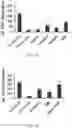 Fig. 07 - ECM COMPOSITION, TUMOR MICROENVIRONMENT PLATFORM AND METHODS THEREOF
