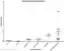 Fig. 01 - Method for Diagnosis of Arrhythmogenic Right Ventricular Cardiomyopathy