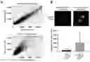 Fig. 01 - METHOD OF IMPROVING EFFICACY OF MELANOMA TREATMENT