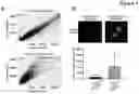 Fig. 02 - METHOD OF IMPROVING EFFICACY OF MELANOMA TREATMENT