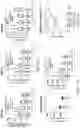 Fig. 49 - Biomarkers of cognitive dysfunction