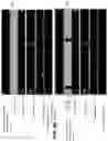 Fig. 08 - Sensor, apparatus for lidar application and method of background cancellation