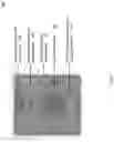 Fig. 07 - Electrowetting prism for scanning in high resolution fluorescence microscopy