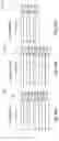 Fig. 08 - Bistable switchable liquid crystal private device