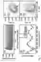 Fig. 08 - Method and system for tuning an output optical pulse