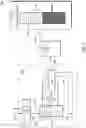 Fig. 04 - Buffered freepointer management memory system