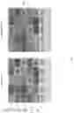 Fig. 04 - Allocation of overprovisioned blocks for minimizing write amplification in solid state drives