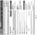 Fig. 09 - SYSTEMS AND METHODS FOR CATEGORIZING AND PRESENTING PERFORMANCE ASSESSMENT DATA