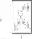 Fig. 02 - Sensory allegiance