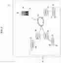 Fig. 04 - Sensory allegiance