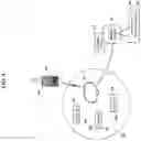 Fig. 05 - Sensory allegiance