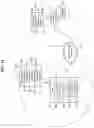 Fig. 11 - Sensory allegiance