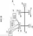 Fig. 23 - Sensory allegiance