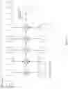 Fig. 04 - Low precision convolution operations