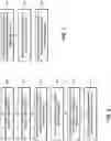 Fig. 03 - Optimized rendering of shared documents on client devices with document raster representations