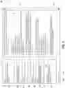 Fig. 05 - DOCUMENT CONVERSION, ANNOTATION, AND DATA CAPTURING SYSTEM