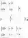 Fig. 09 - DOCUMENT CONVERSION, ANNOTATION, AND DATA CAPTURING SYSTEM