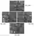 Fig. 22 - Dendritic structures and tags