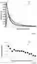 Fig. 09 - Organizing neural networks