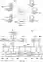Fig. 10 - Acceleration of convolutional neural networks on analog arrays