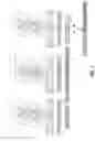 Fig. 09 - Automatic data preprocessing