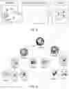 Fig. 04 - Device for classifying data