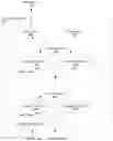 Fig. 01 - Multi-task neural networks with task-specific paths