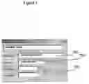 Fig. 08 - System and user interface for acquisition and storage of patient medical insurance data
