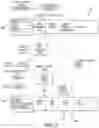 Fig. 06 - System and method for identifying relevant information for an enterprise