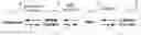 Fig. 01 - SYSTEMS AND METHOD FOR SELLING CONTENT OVER A NETWORK