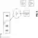 Fig. 07 - ADAPTING A VIRTUAL AGENT SUPPORT SYSTEM BASED ON EMOTIONAL STATE AND DEMOGRAPHICS INFORMATION