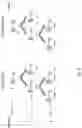 Fig. 09 - Secure deterministic tokens for encrypting electronic communications