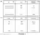 Fig. 06 - Implemented per-room VLANs