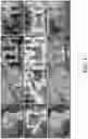 Fig. 02 - Segmenting generic foreground objects in images and videos
