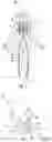Fig. 02 - System and method for navigation to a target anatomical object in medical imaging-based procedures
