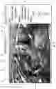 Fig. 09 - System and method for navigation to a target anatomical object in medical imaging-based procedures